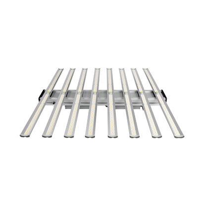 Astrica 820w LED 110-277v