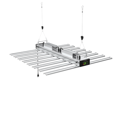 Astrica 820w LED 110-277v