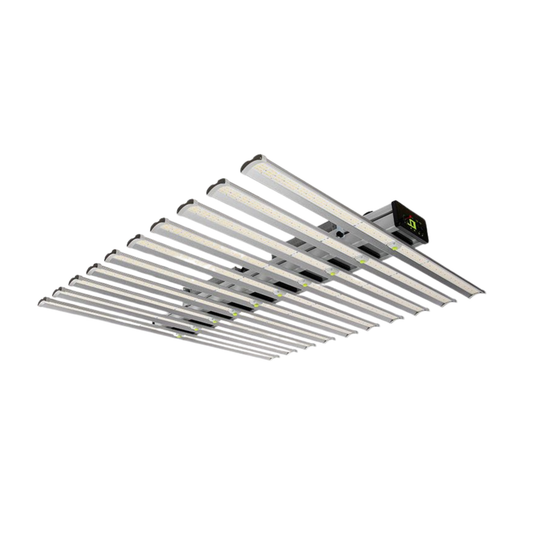 Astrica 980w LED 110-277v